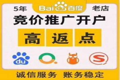 百度广告推广投入与回报的惊人案例